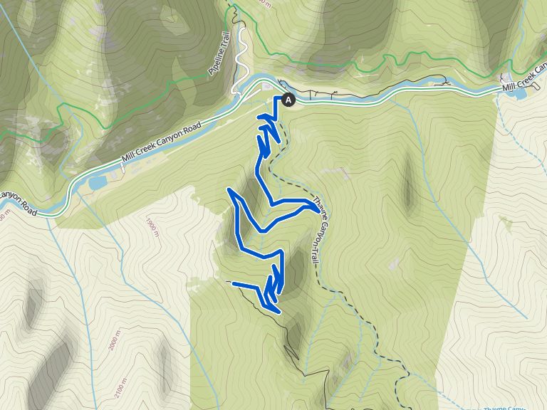 Desolation Overlook — Uinta-Wasatch-Cache National Forest | hike | Komoot